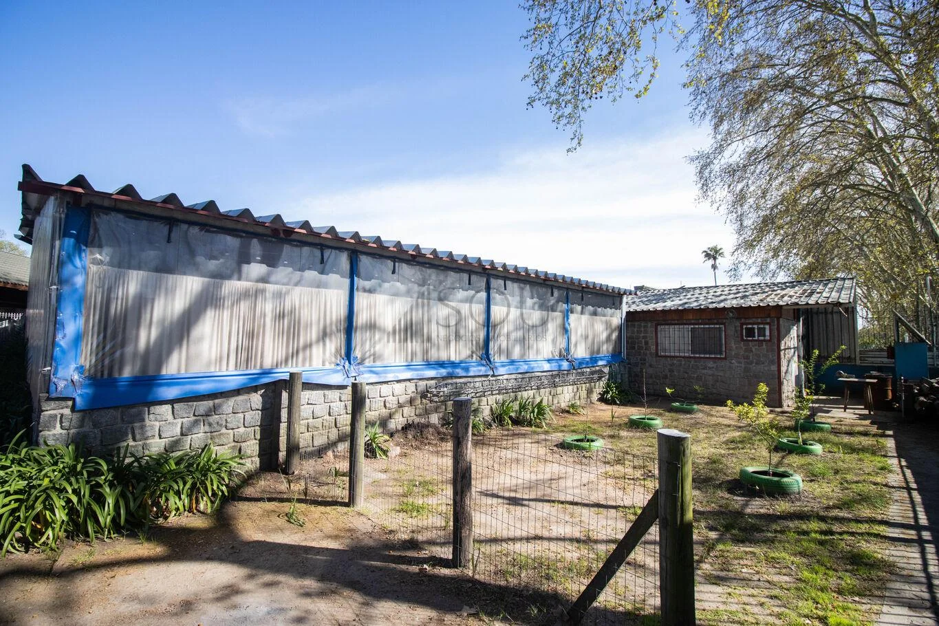 Local en Sayago, propiedad 297324 -Imagen 4