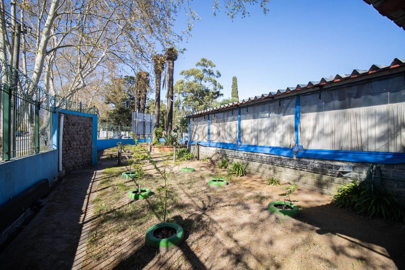 Local en Sayago, propiedad 297324 -Imagen 5