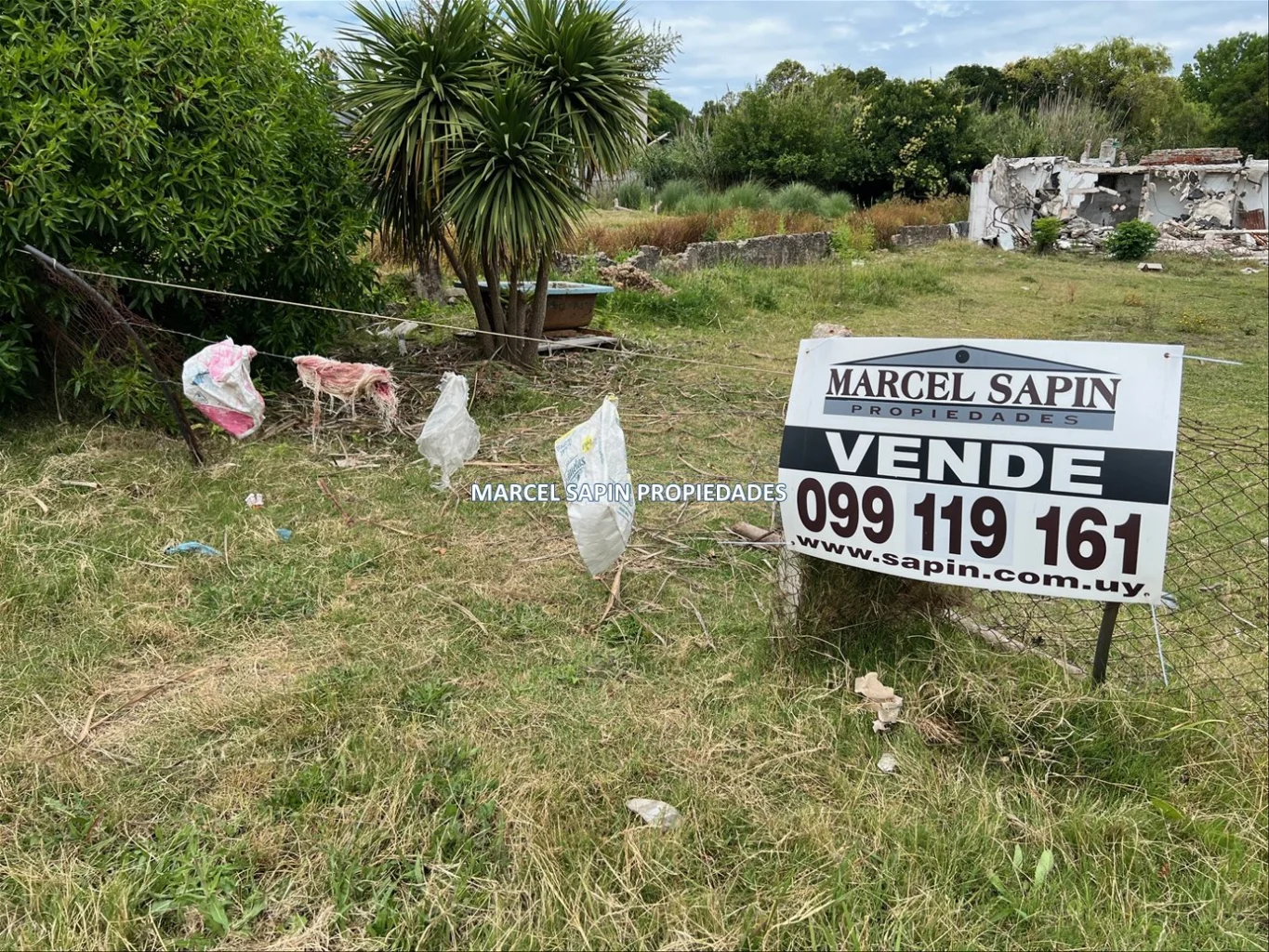 Terreno en Colinas de Carrasco, propiedad 213495 -Imagen 5