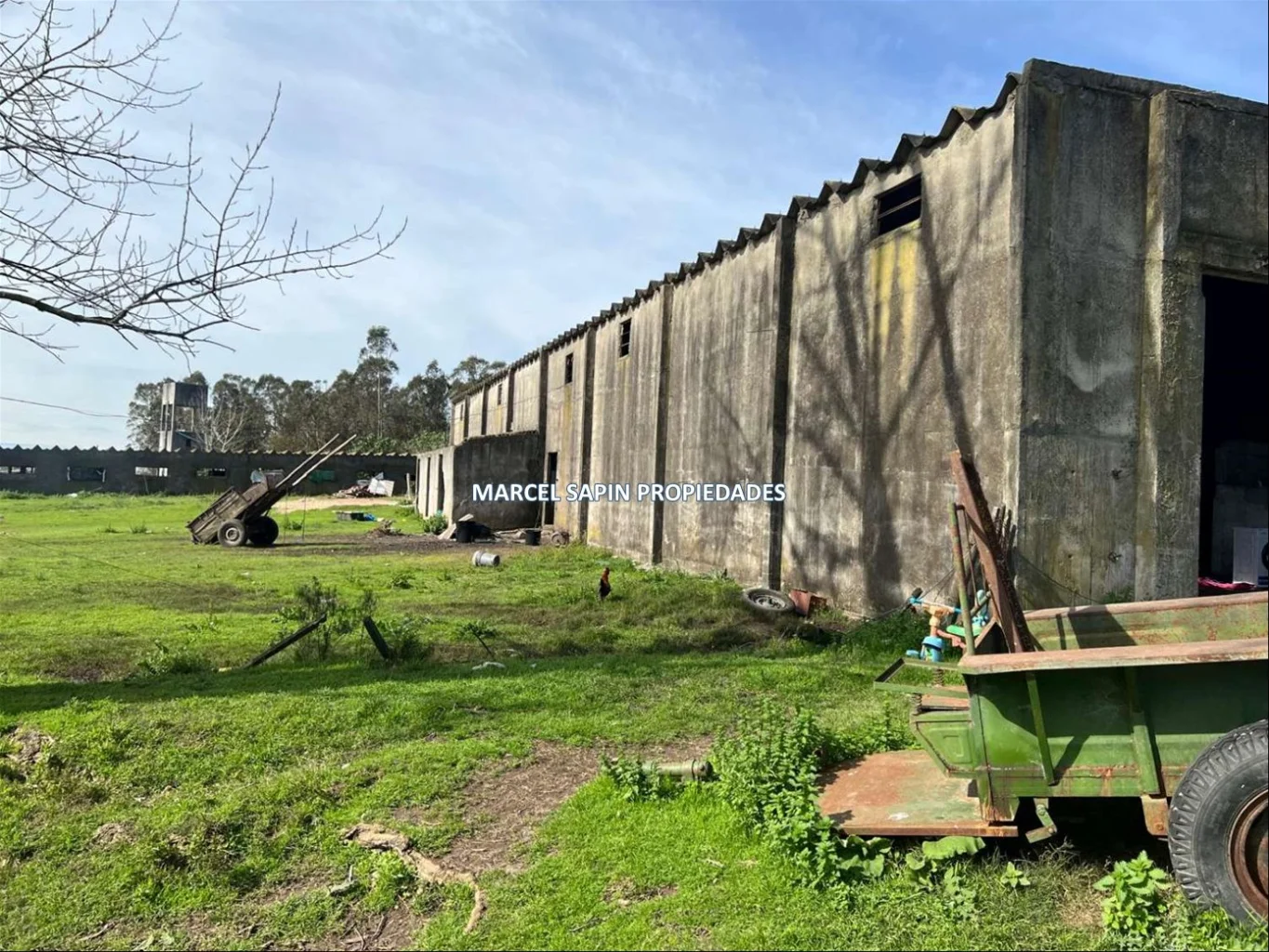Chacra en Carrasco Norte, propiedad 288374 -Imagen 10