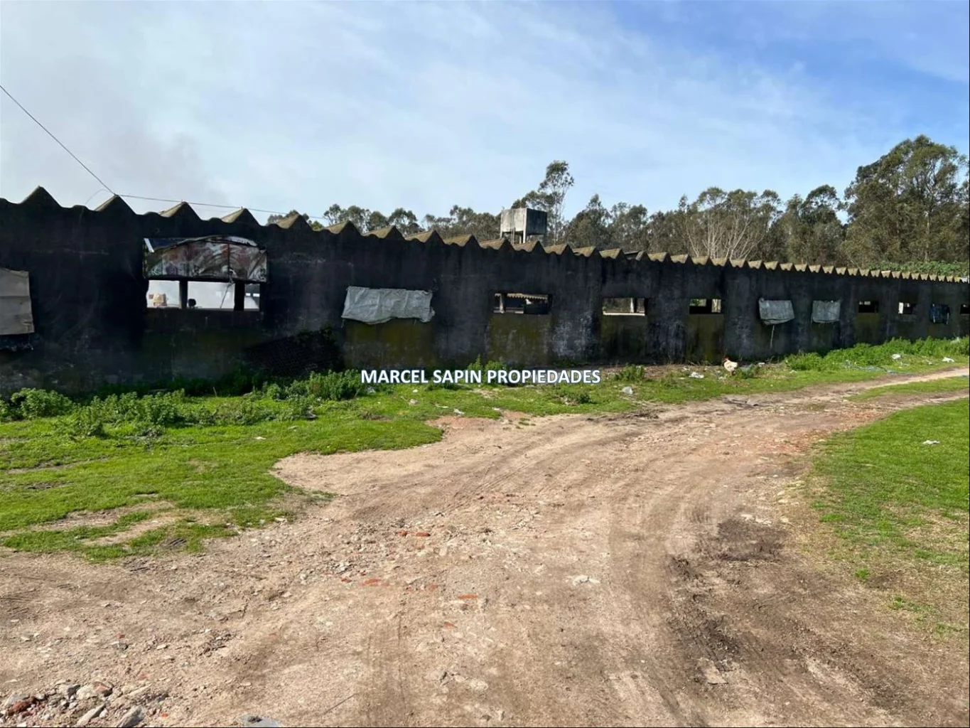 Chacra en Carrasco Norte, propiedad 288374 -Imagen 13