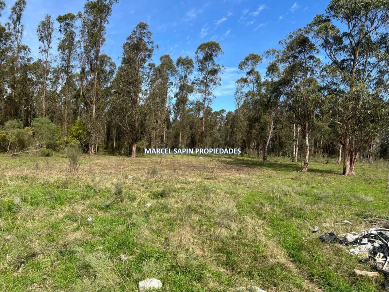 Chacra en Carrasco Norte, propiedad 288374 -Imagen 17