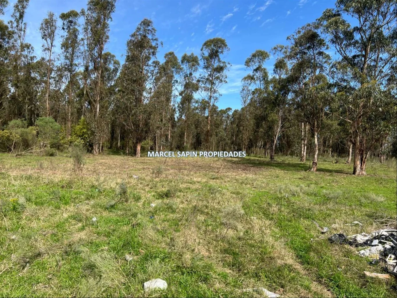 Chacra en Carrasco Norte, propiedad 288374 -Imagen 18