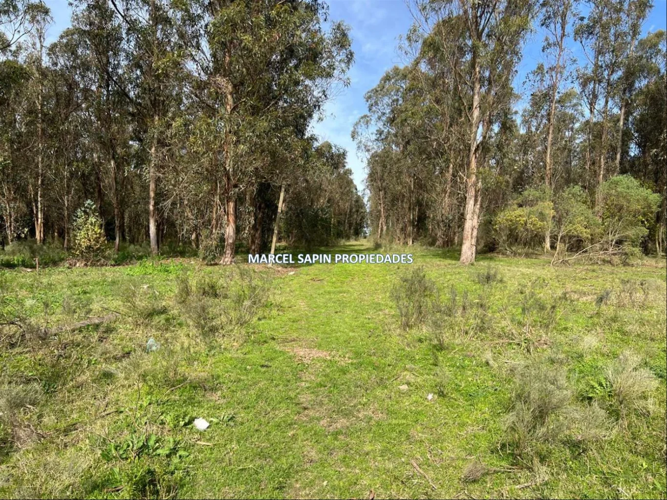 Chacra en Carrasco Norte, propiedad 288374 -Imagen 21