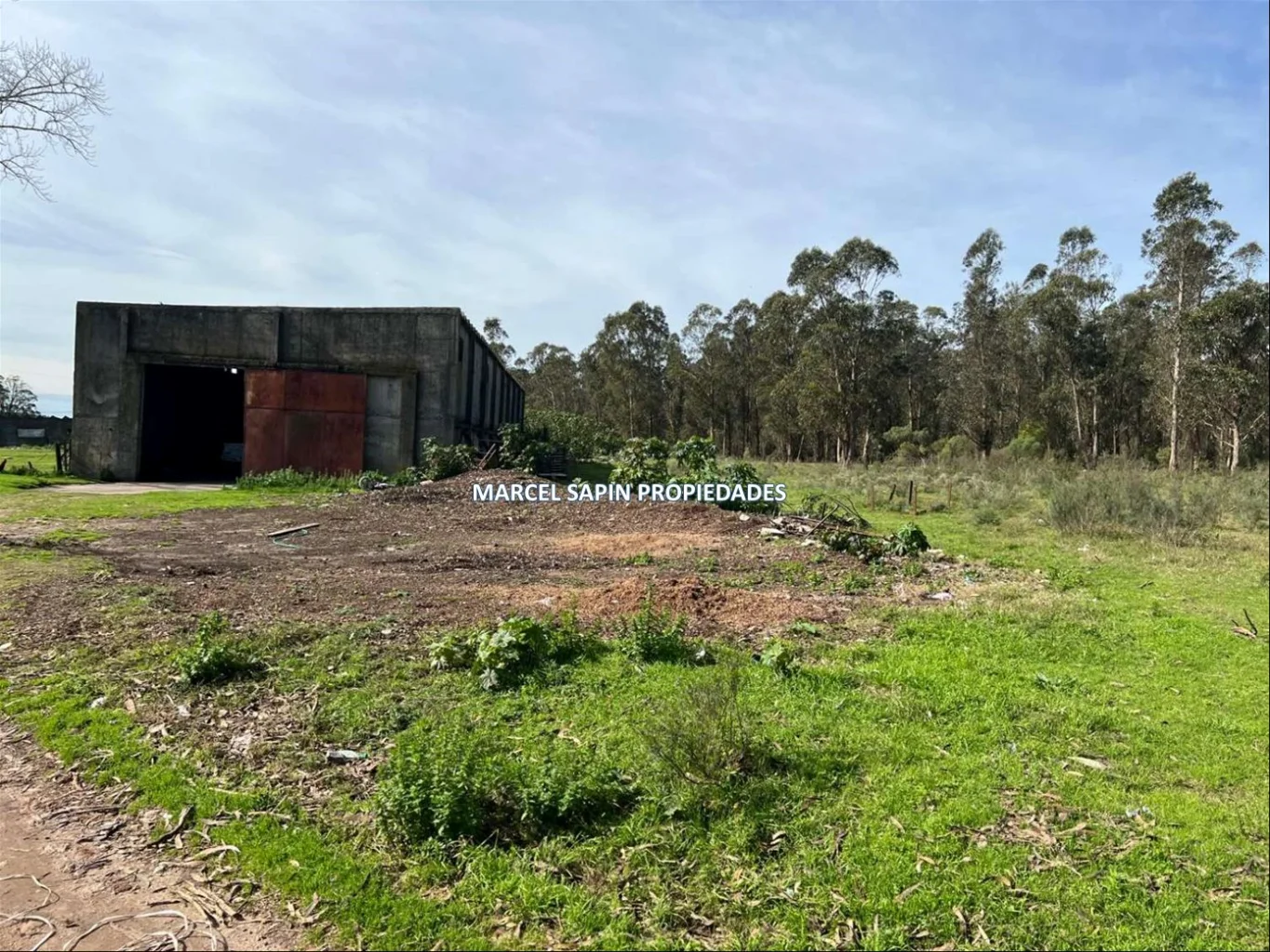 Chacra en Carrasco Norte, propiedad 288374 -Imagen 6