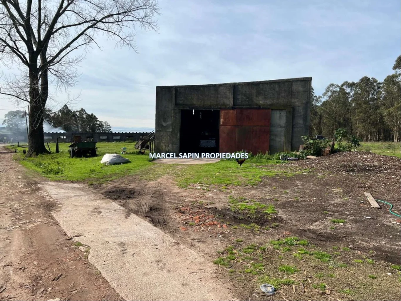 Chacra en Carrasco Norte, propiedad 288374 -Imagen 7