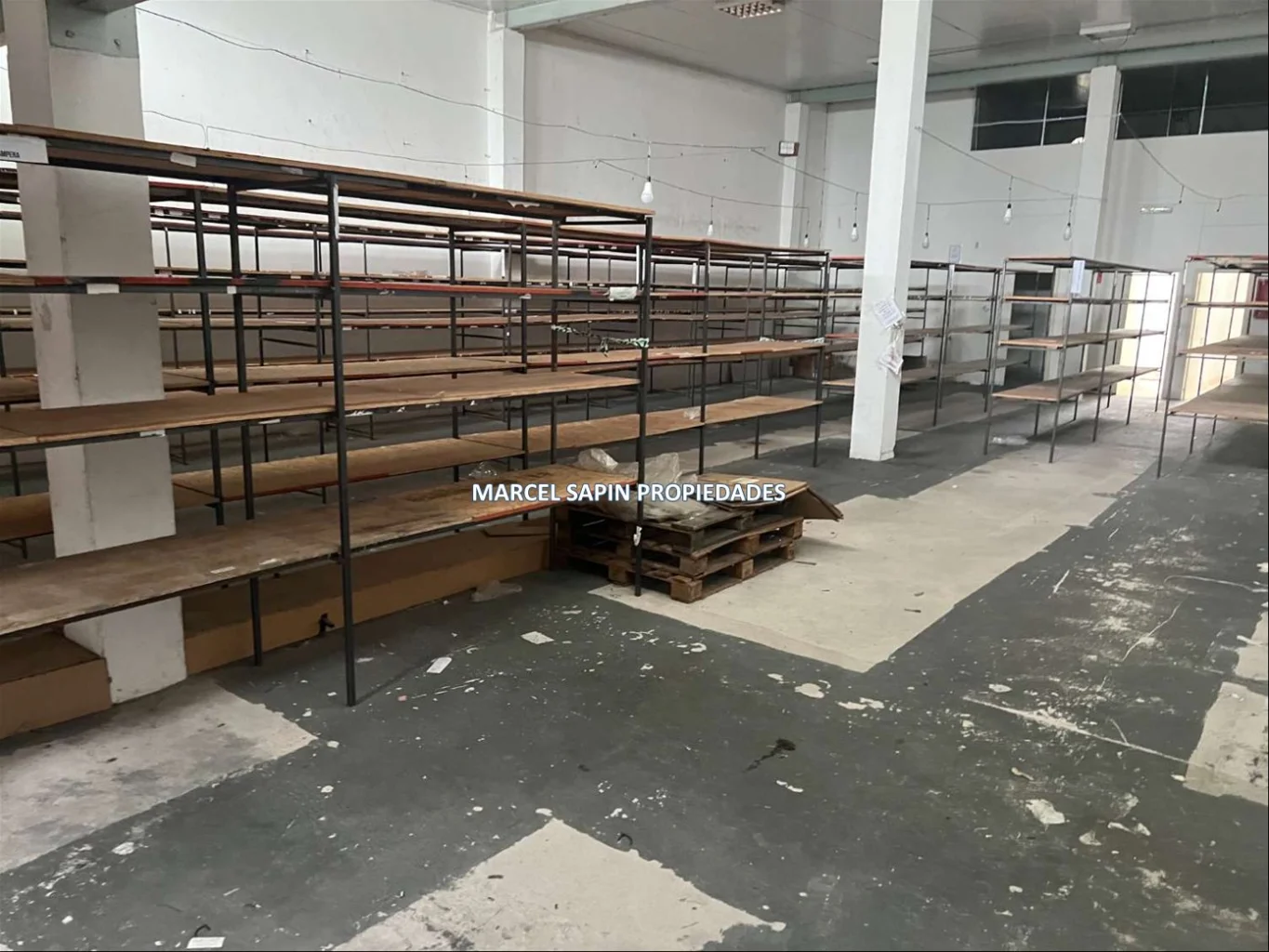 Local en Maldonado, propiedad 298184 -Imagen 13