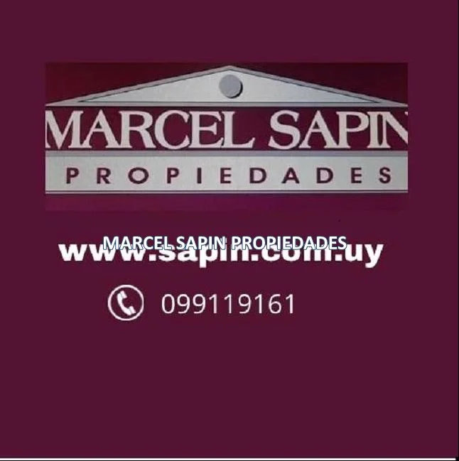 Terreno en Punta Ballena, propiedad 298185 -Imagen 7