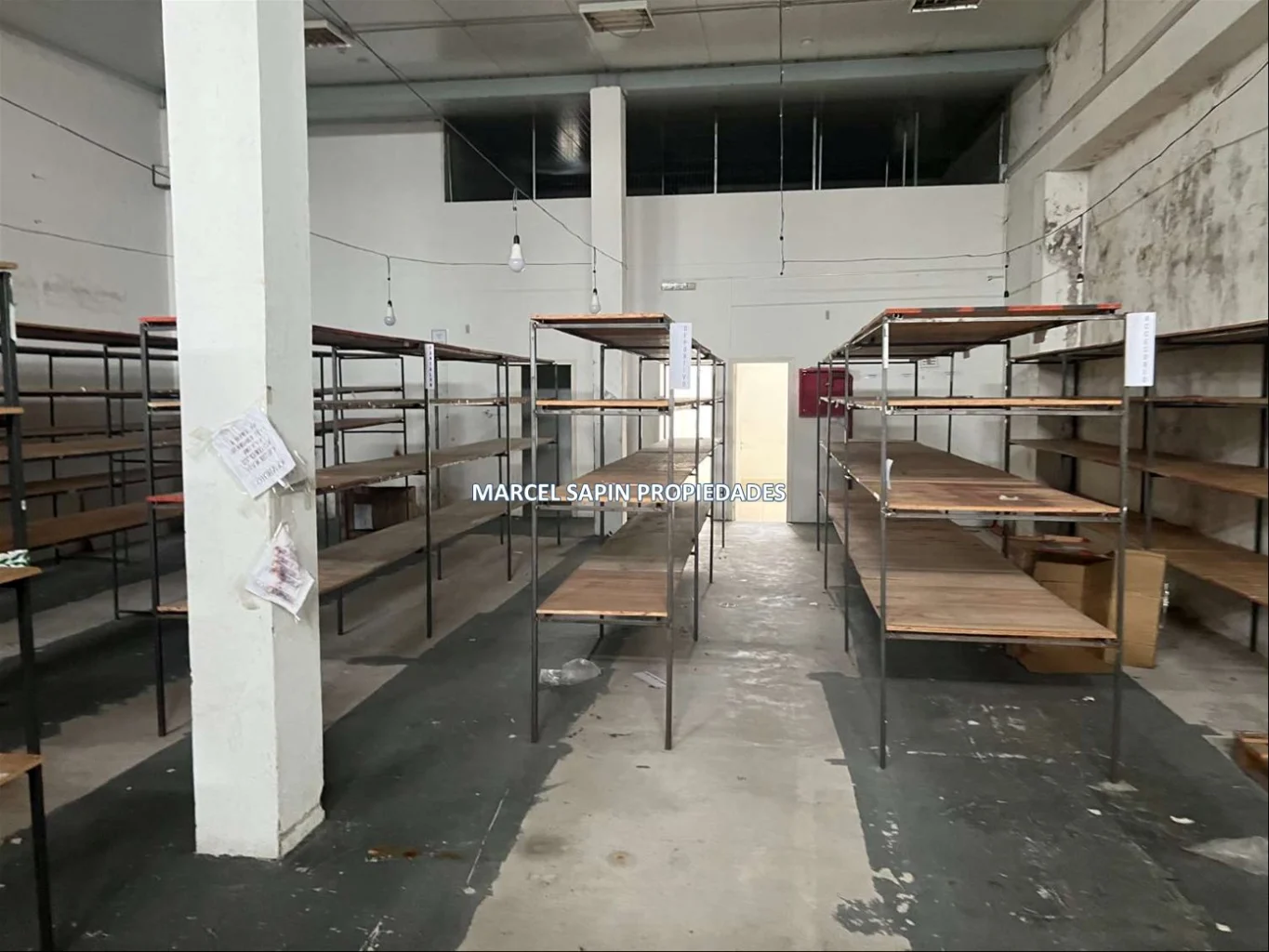 Local en Maldonado, propiedad 298197 -Imagen 14