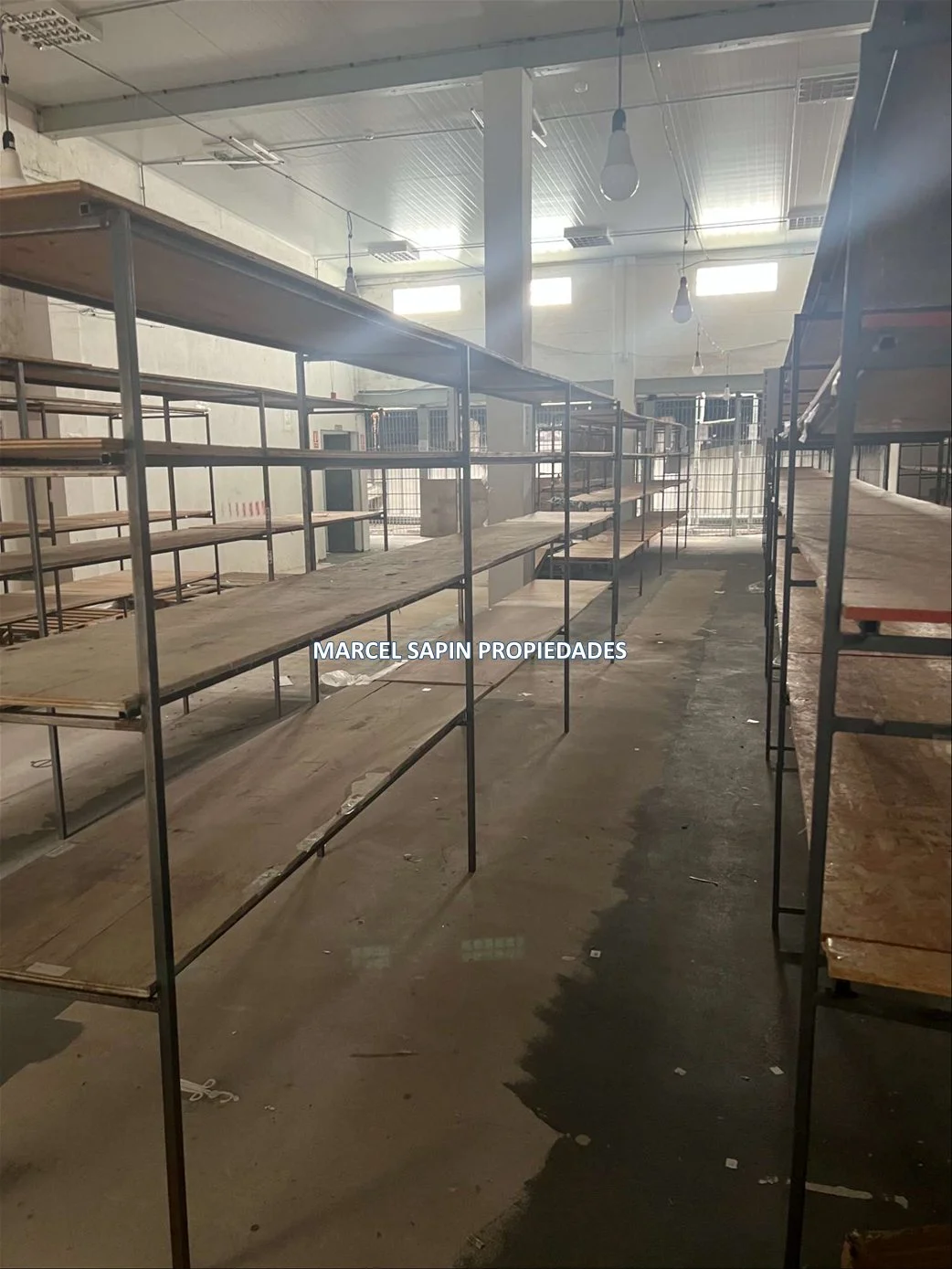Local en Maldonado, propiedad 300000 -Imagen 19