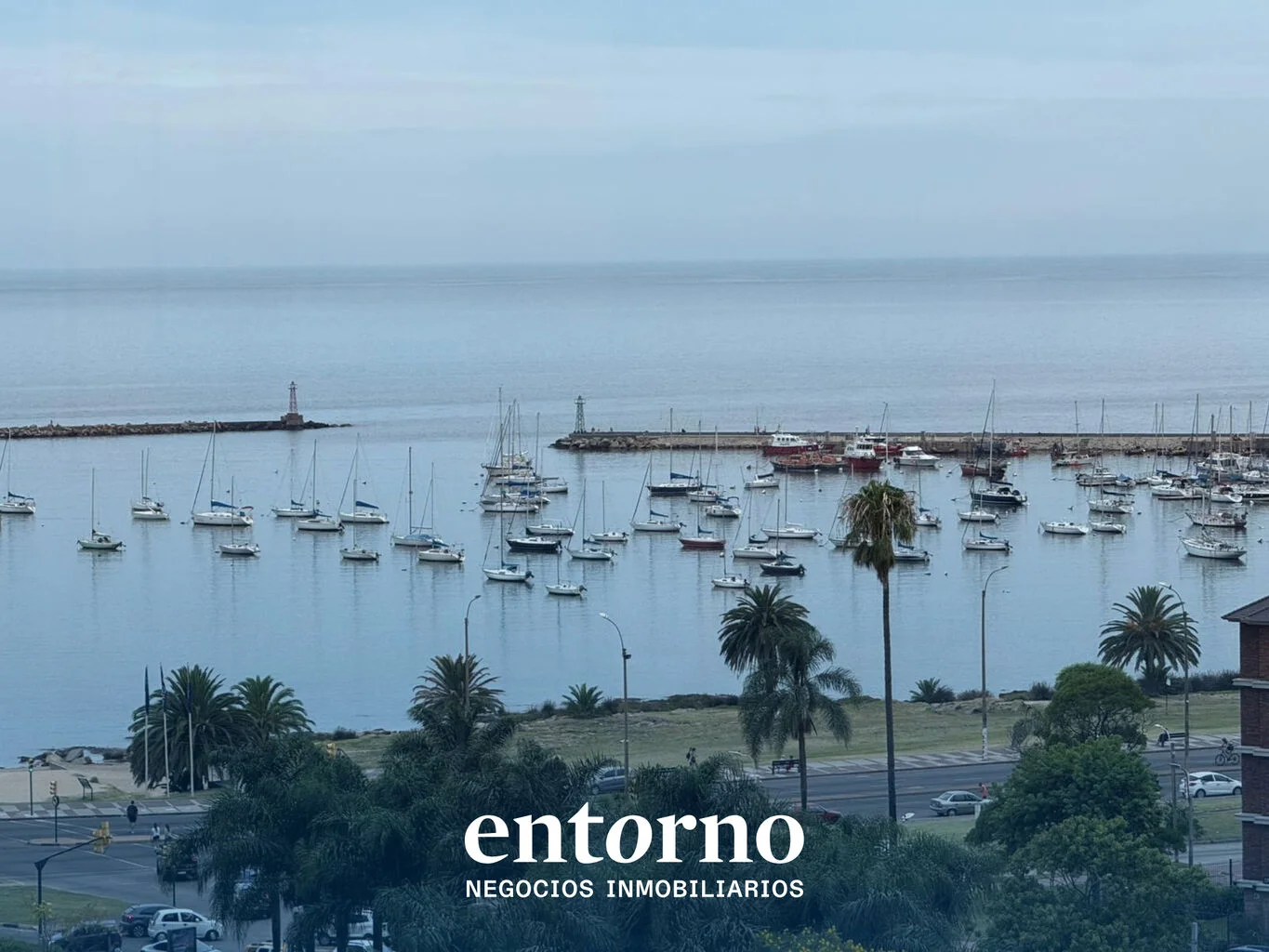Oficina en Puerto del Buceo, propiedad 249089 -Imagen 2