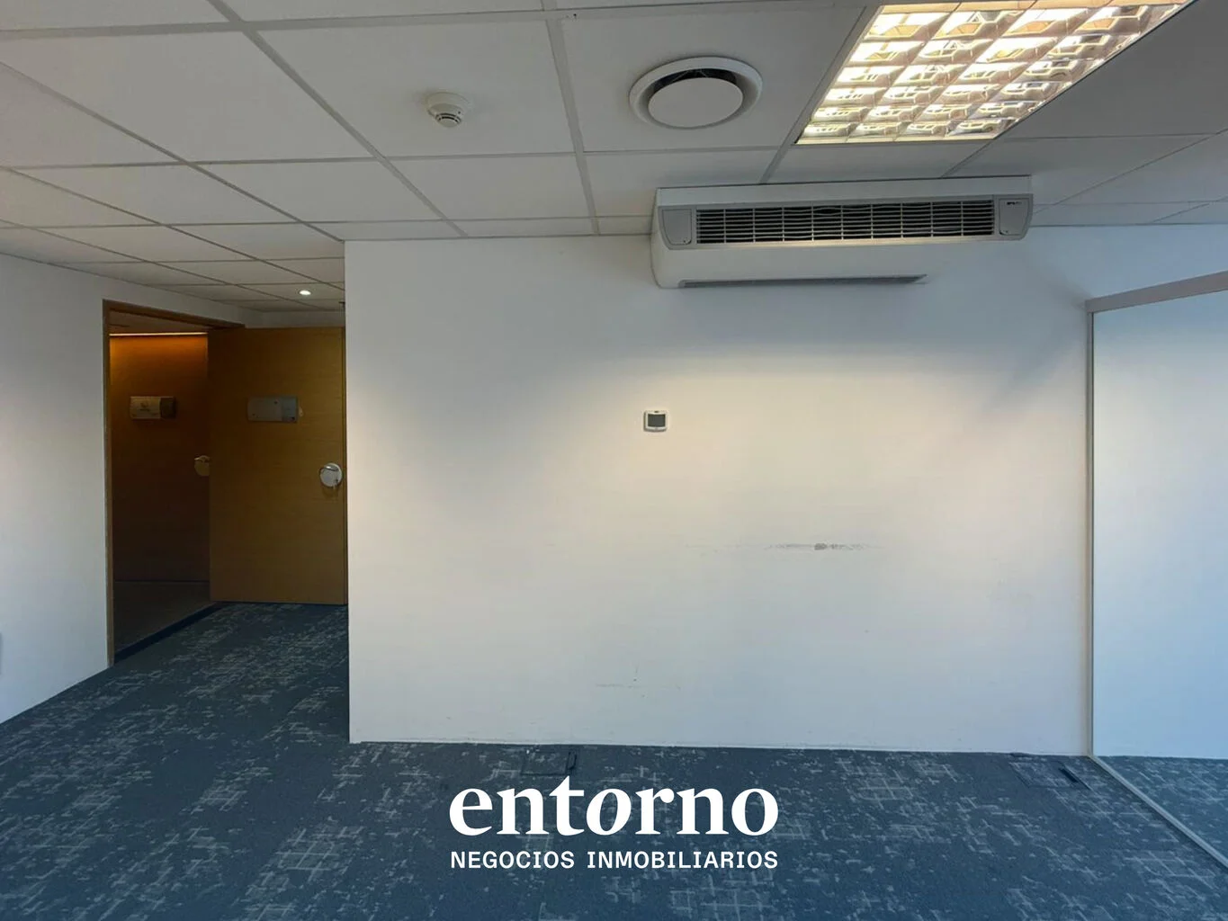 Oficina en Puerto del Buceo, propiedad 249089 -Imagen 10