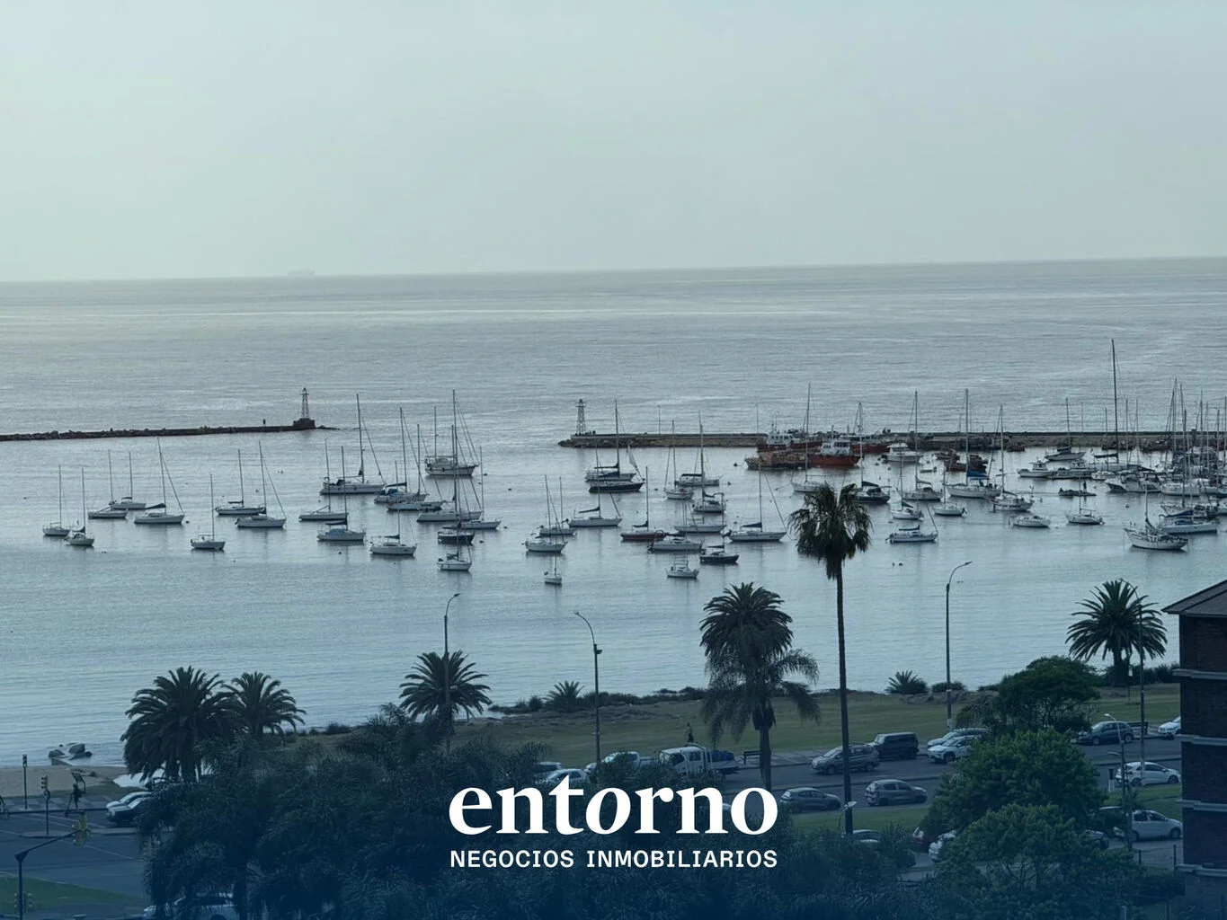 Oficina en Puerto del Buceo, propiedad 291769 -Imagen 3
