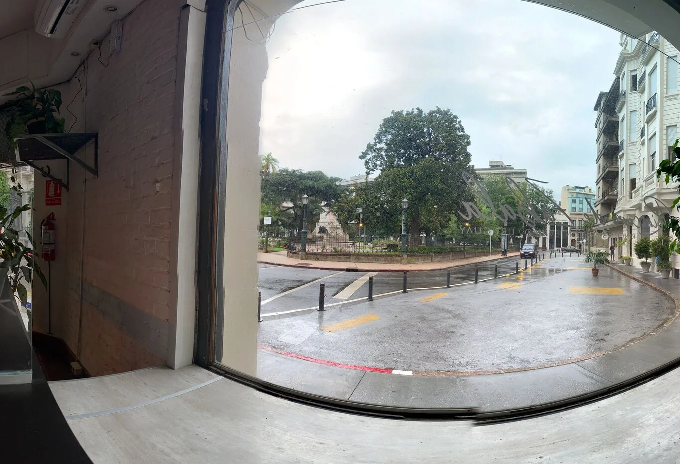 Local en Ciudad Vieja, propiedad 298401 -Imagen 8