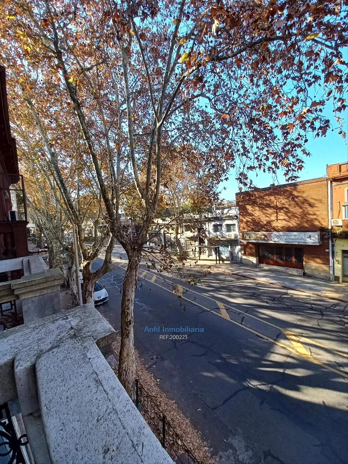 Casa en Reducto, propiedad 233913 -Imagen 4