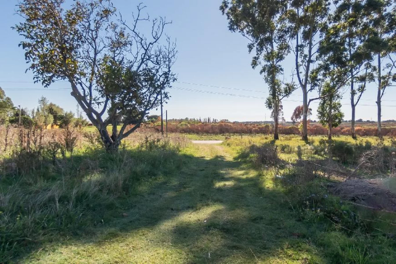 Chacra en Pajas Blancas, propiedad 263975 -Imagen 4
