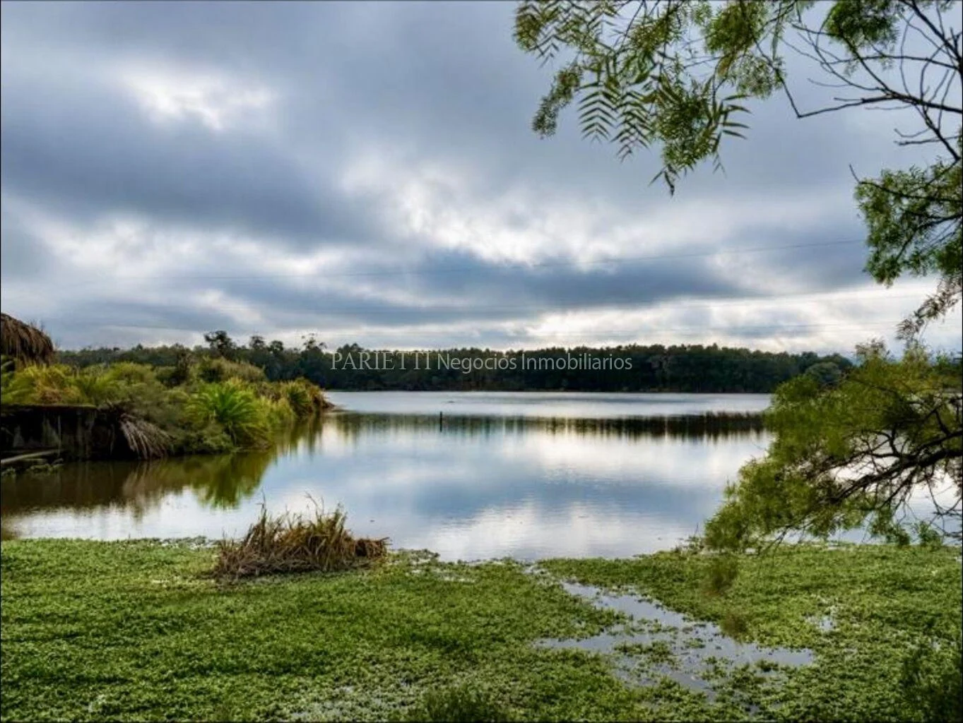 Campo en Gregorio Aznarez, propiedad 286150 -Imagen 1