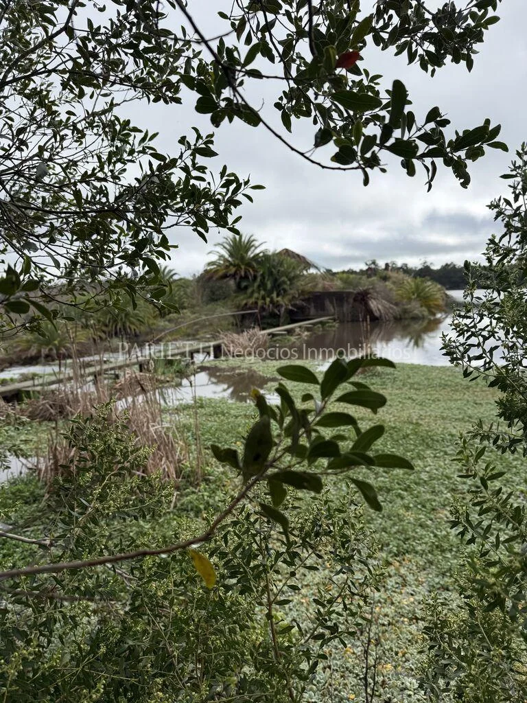 Campo en Gregorio Aznarez, propiedad 286150 -Imagen 3
