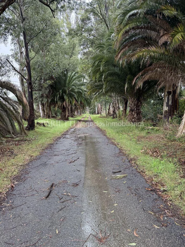 Campo en Gregorio Aznarez, propiedad 286150 -Imagen 4