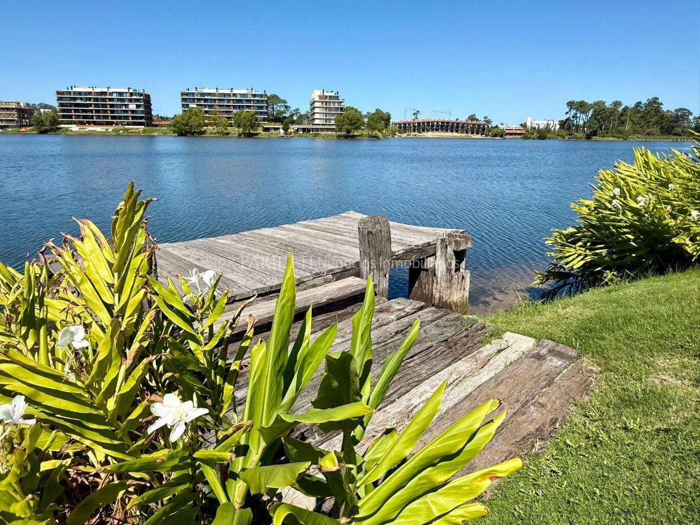 Apartamento en Av. de las Americas, propiedad 289300 -Imagen 1