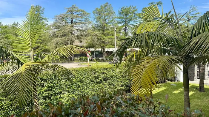 Venta Carrasco cerca del Lawn Tennis Apartamento 1 dormitorio