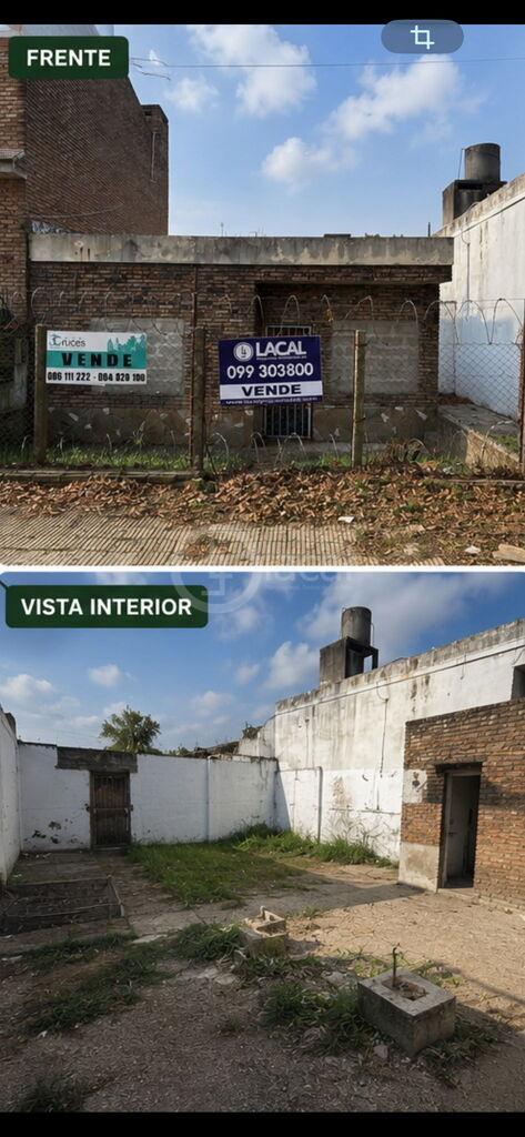 Terreno en La Blanqueada, propiedad 272774 -Imagen 5