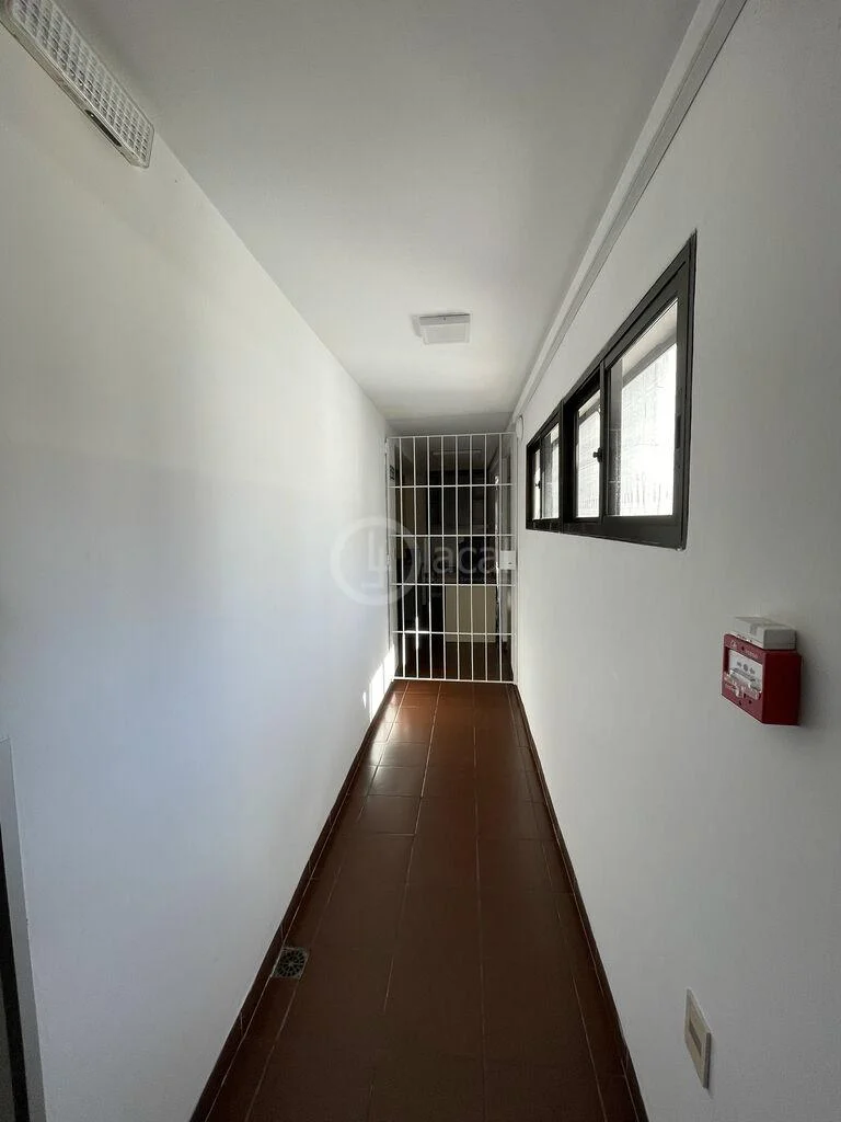 Casa en Pocitos, propiedad 296424 -Imagen 16