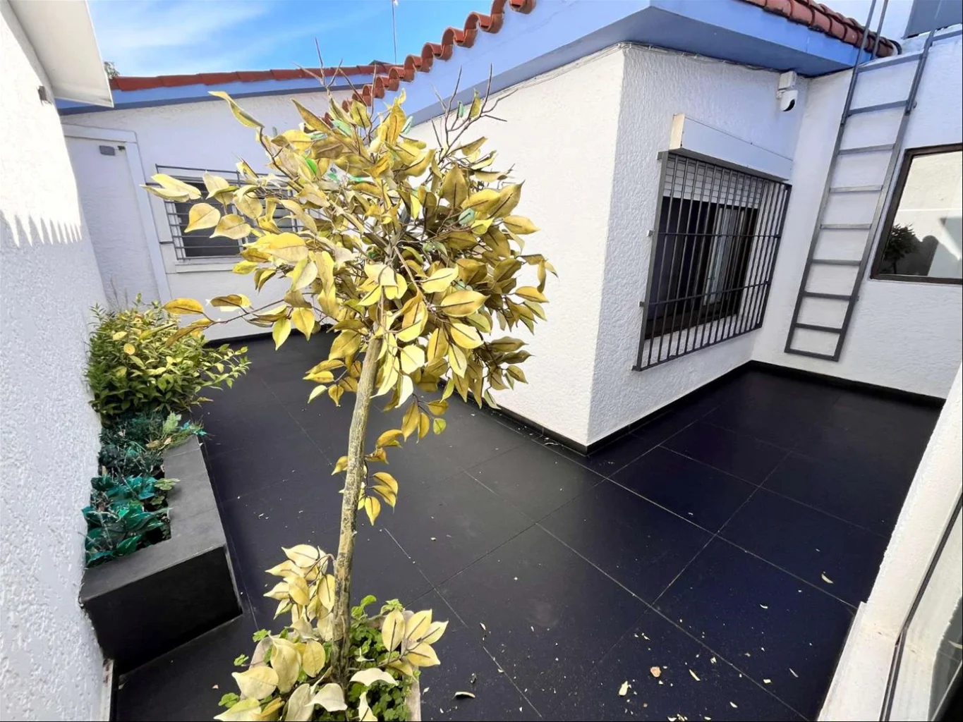 Casa en Lomas de Solymar, propiedad 262067 -Imagen 25