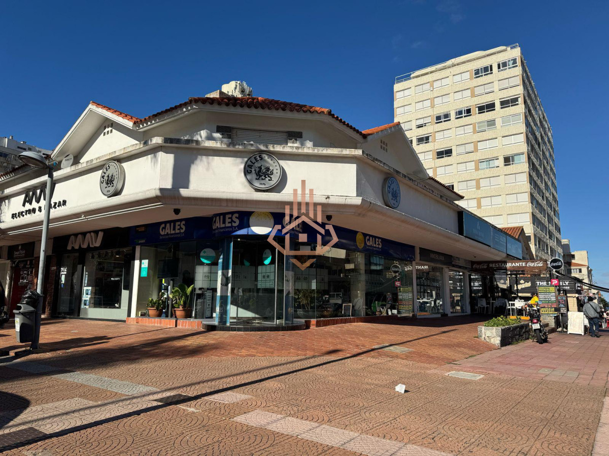 Local en Península, propiedad 208458 -Imagen 1