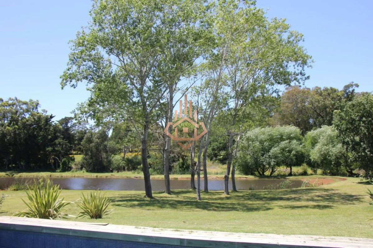 Terreno en Punta Ballena, propiedad 269456 -Imagen 2