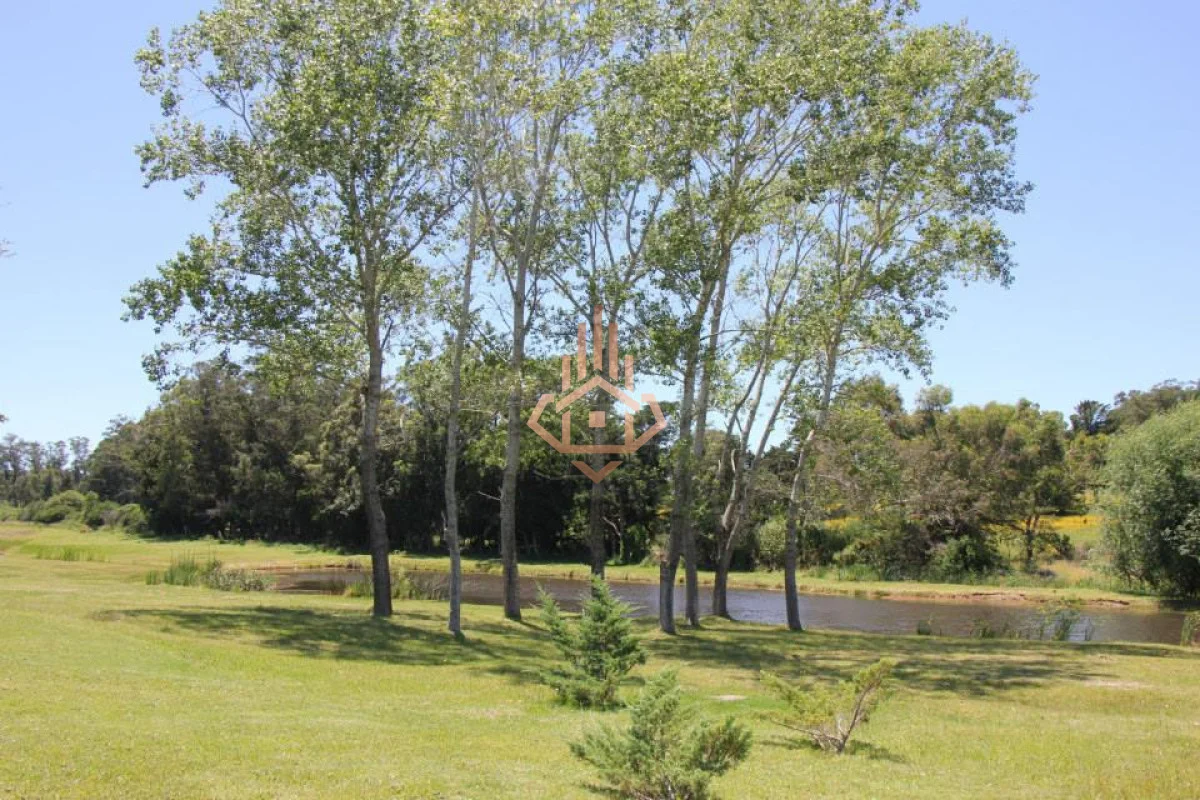 Terreno en Punta Ballena, propiedad 269456 -Imagen 5
