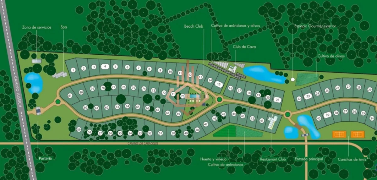 Terreno en Punta Ballena, propiedad 269456 -Imagen 6