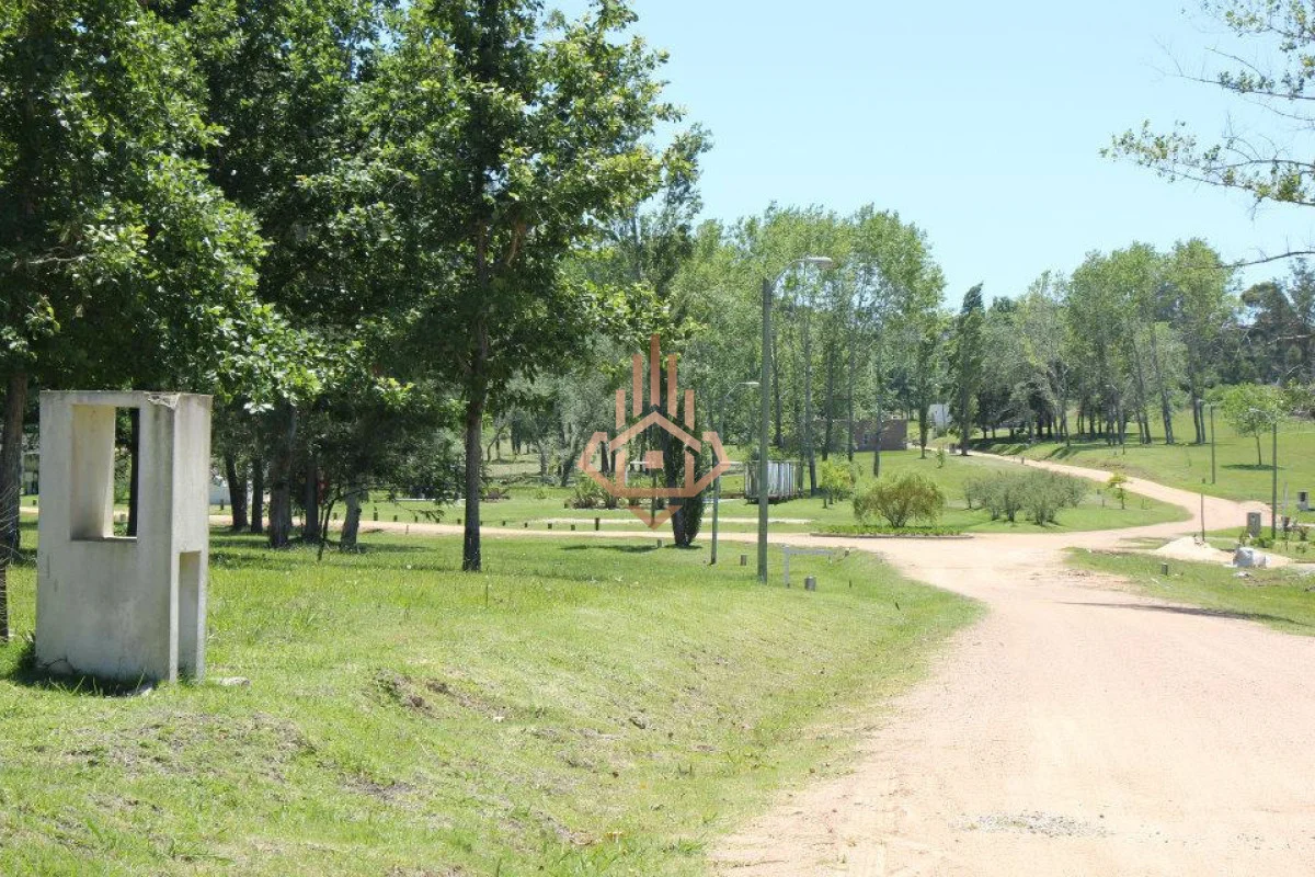 Terreno en Punta Ballena, propiedad 269456 -Imagen 7