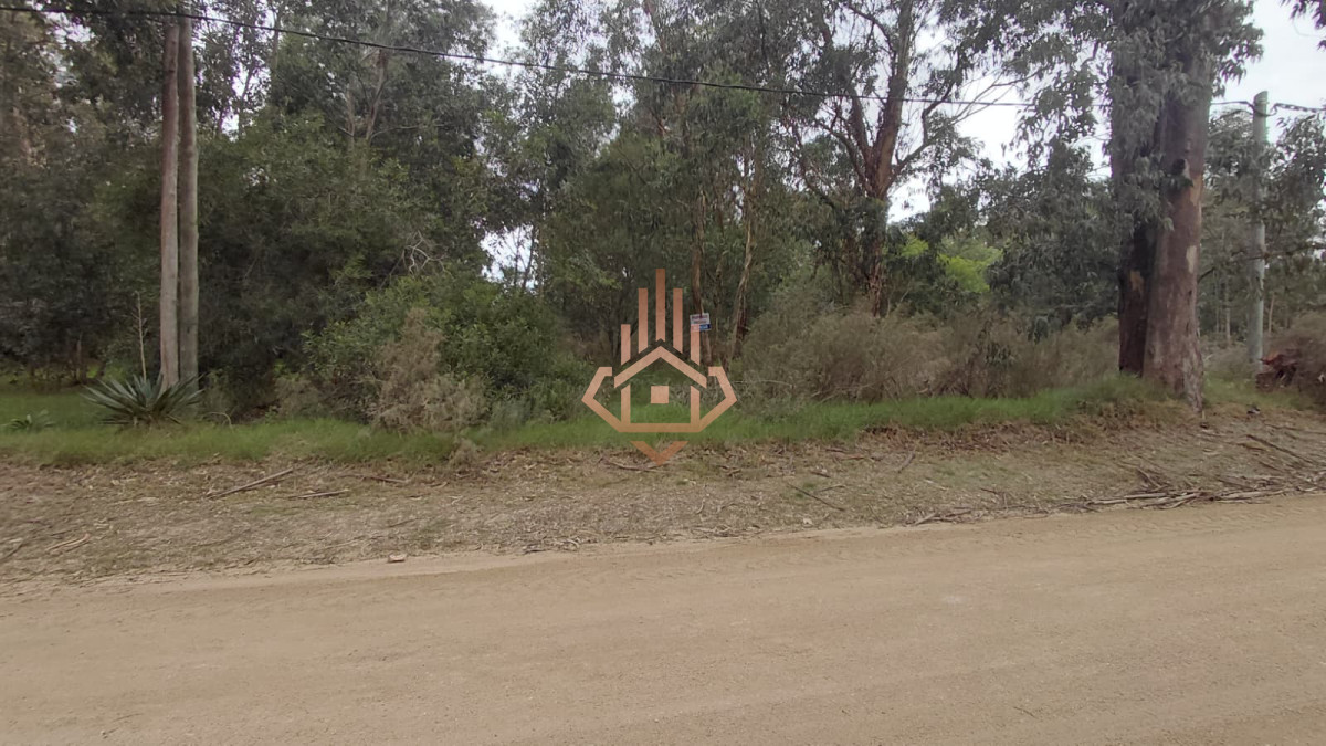 Terreno en Sauce de Portezuelo, propiedad 272886 -Imagen 1