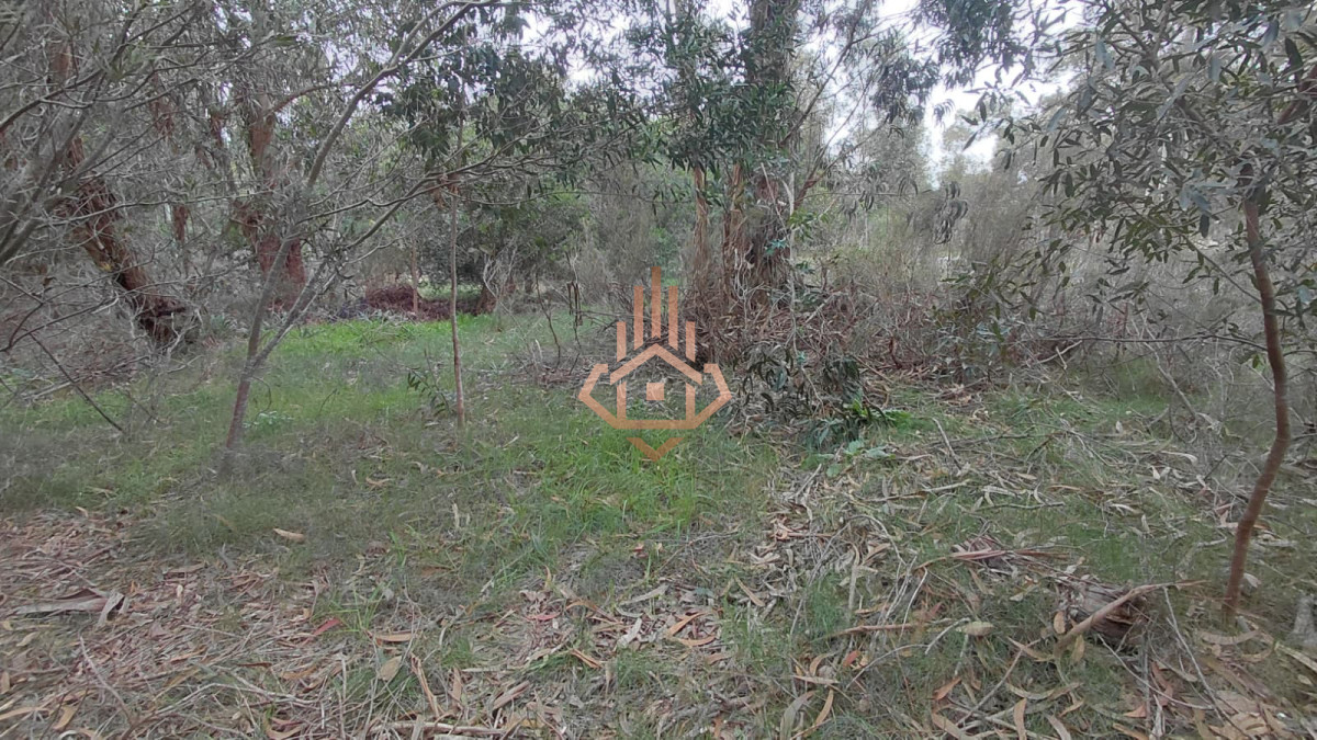 Terreno en Sauce de Portezuelo, propiedad 272886 -Imagen 2