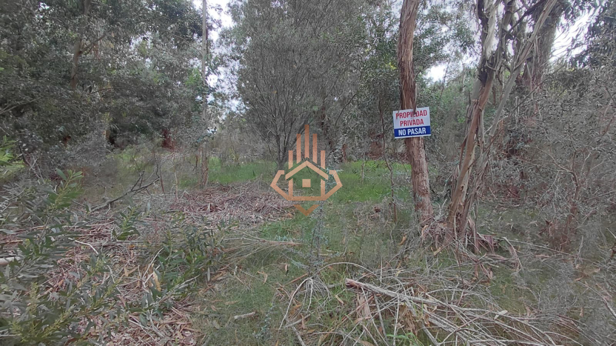 Terreno en Sauce de Portezuelo, propiedad 272886 -Imagen 7