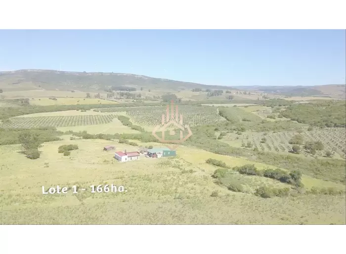 imagen  de la propiedad 264594