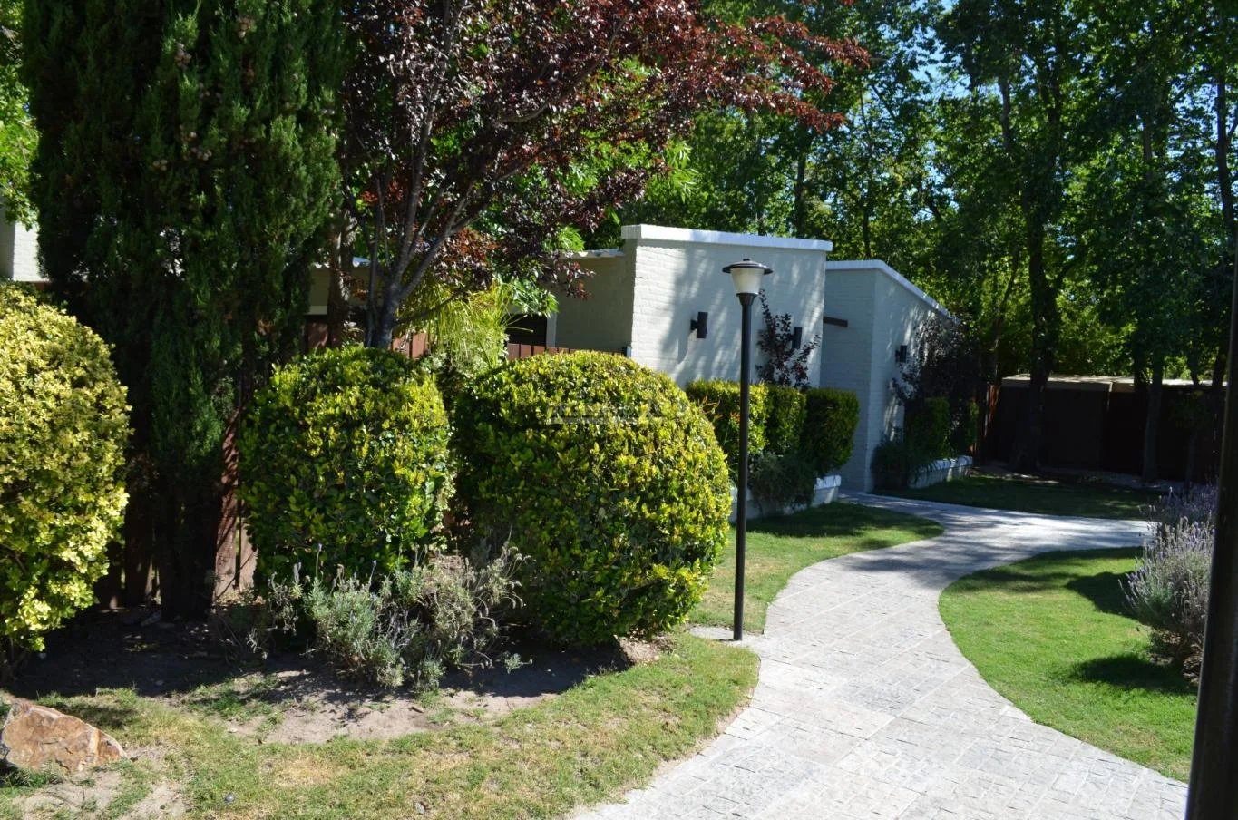 Negocio en Solís, propiedad 116251 -Imagen 6