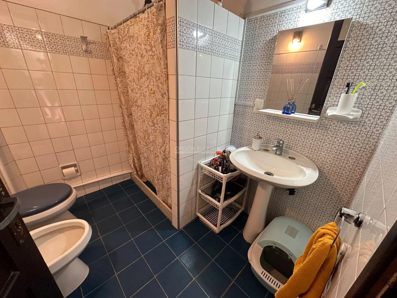 Casa en Tres Cruces, propiedad 284705 -Imagen 15
