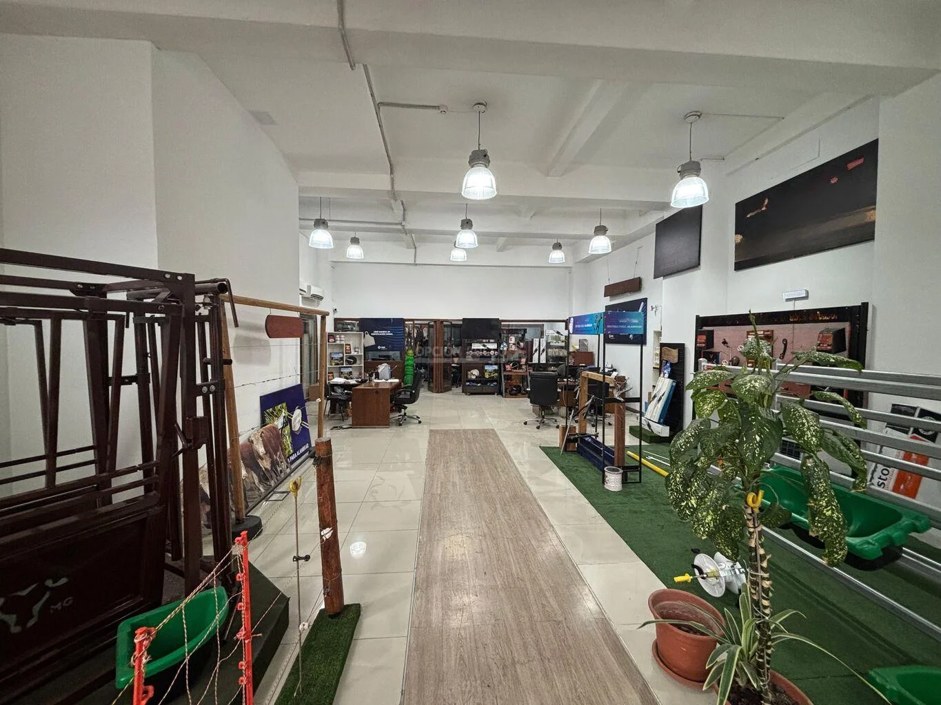 Local en Centro, propiedad 299515 -Imagen 14