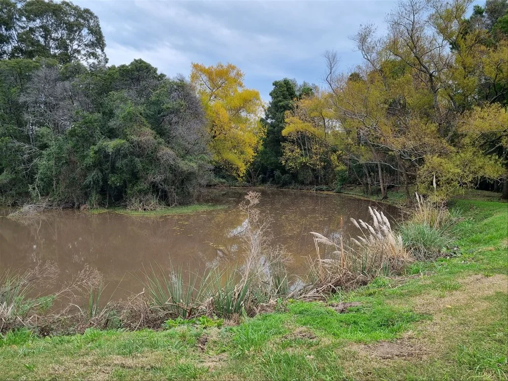 Terreno en Carrasco, propiedad 211378 -Imagen 3