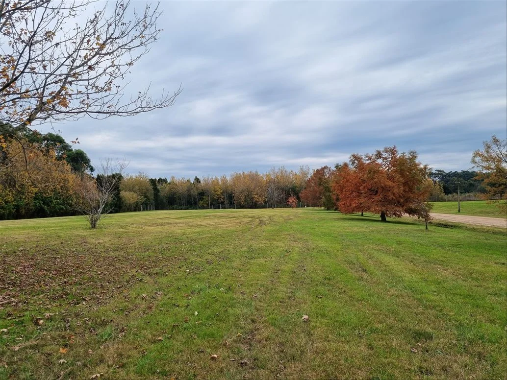 Terreno en Carrasco, propiedad 211378 -Imagen 5