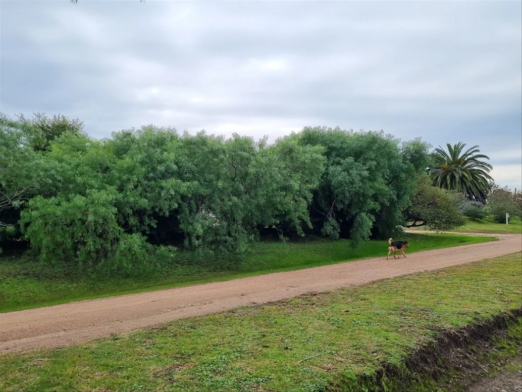 Terreno en Carrasco, propiedad 211378 -Imagen 6