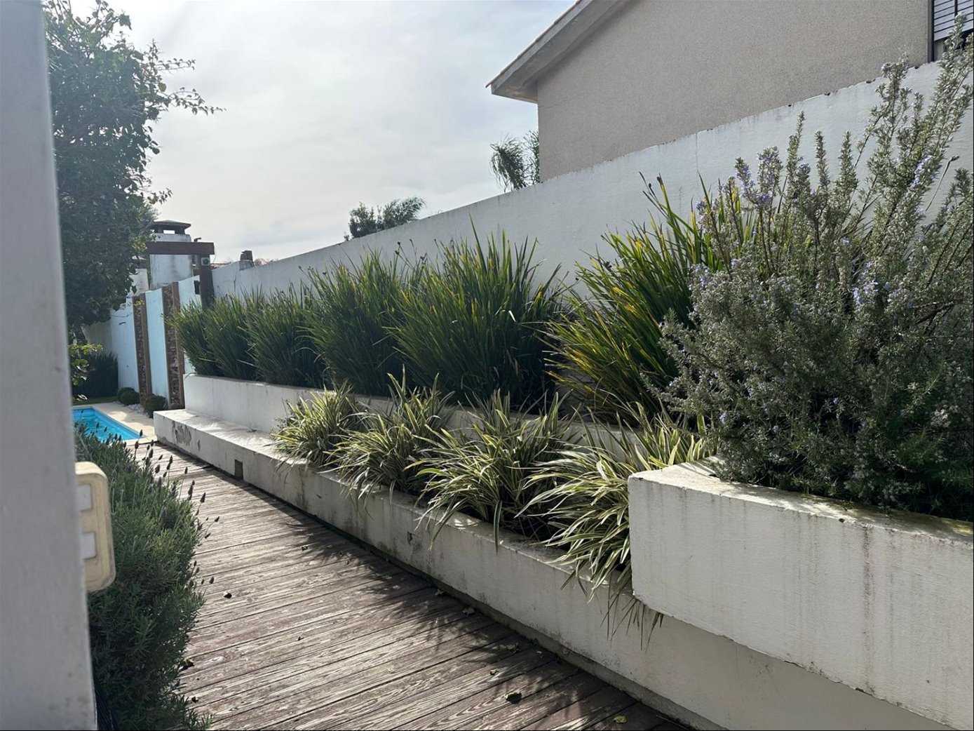 Casa en Punta Gorda, propiedad 227010 -Imagen 17