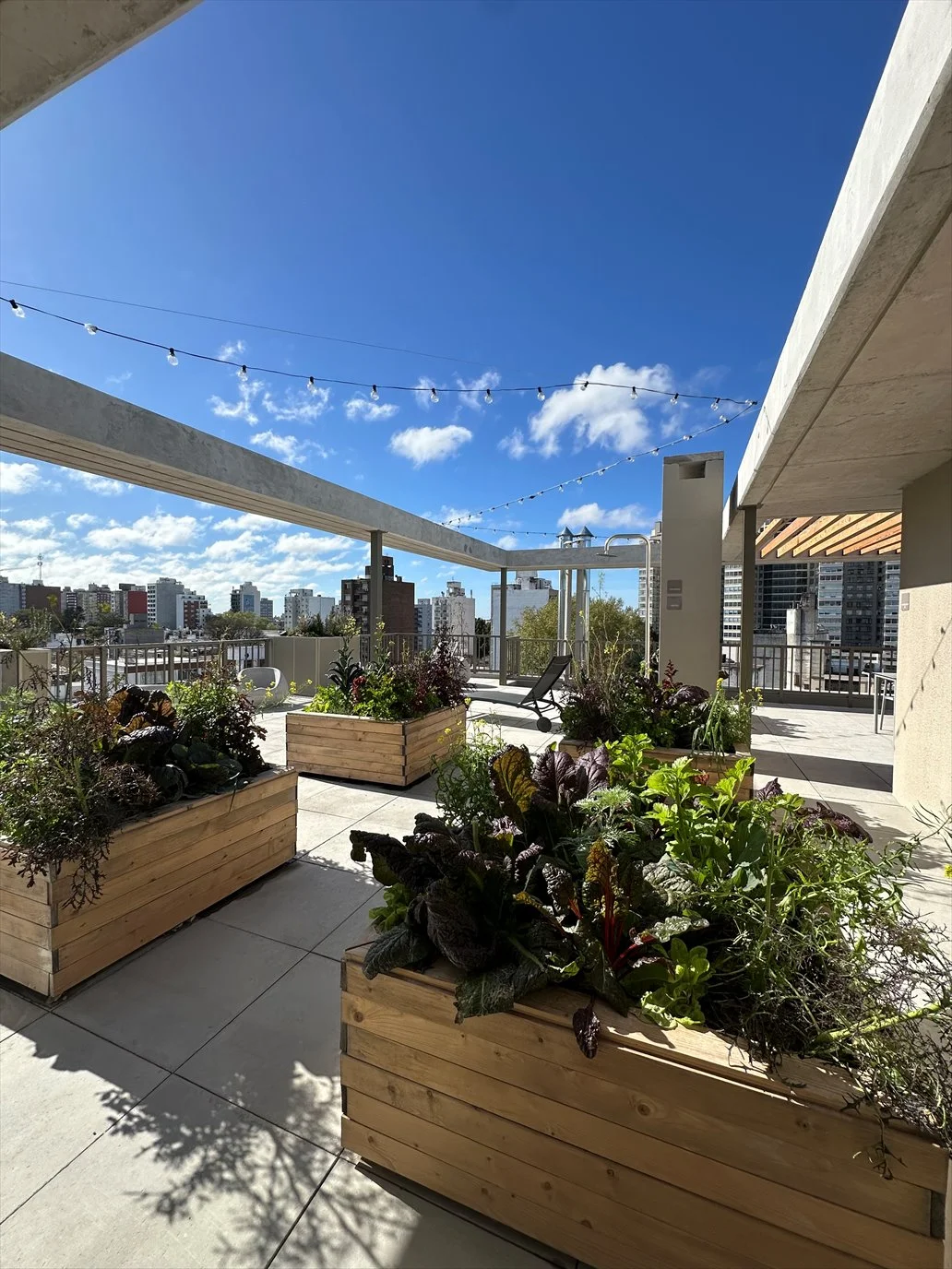 Apartamento en La Blanqueada, propiedad 282093 -Imagen 17