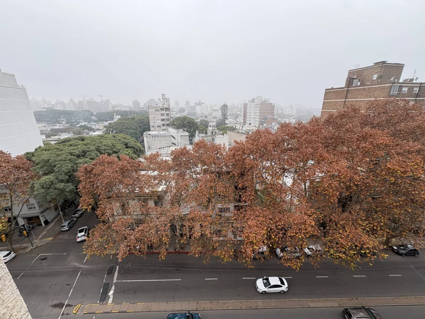 Apartamento en Pocitos, propiedad 273827 -Imagen 12