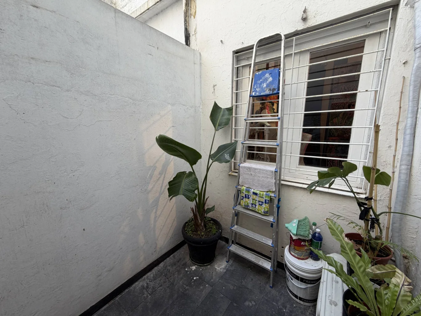 Local en Punta Carretas, propiedad 286937 -Imagen 13