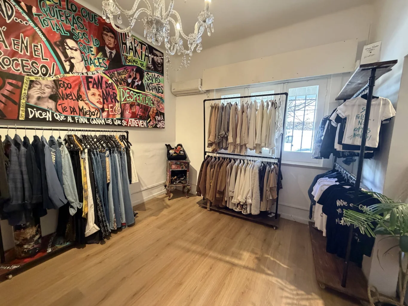 Local en Punta Carretas, propiedad 286937 -Imagen 4