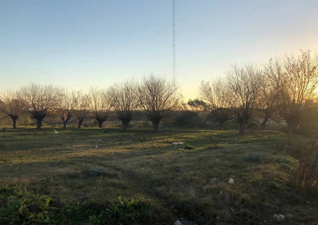 Terreno en Paso de la Arena, propiedad 287145 -Imagen 3