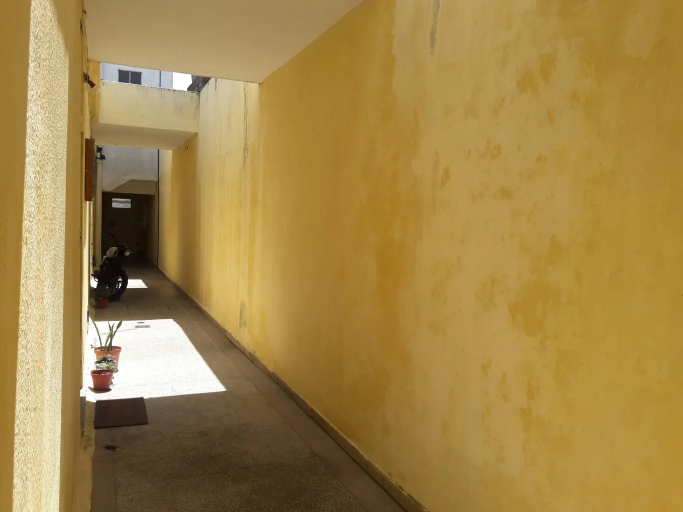 Apartamento en Buceo, propiedad 288360 -Imagen 2